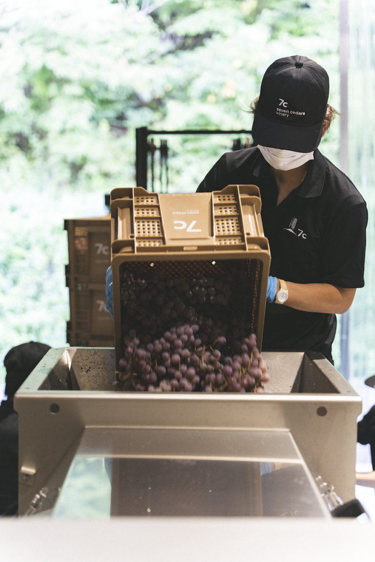 7c winery – artless Inc. | news & archives